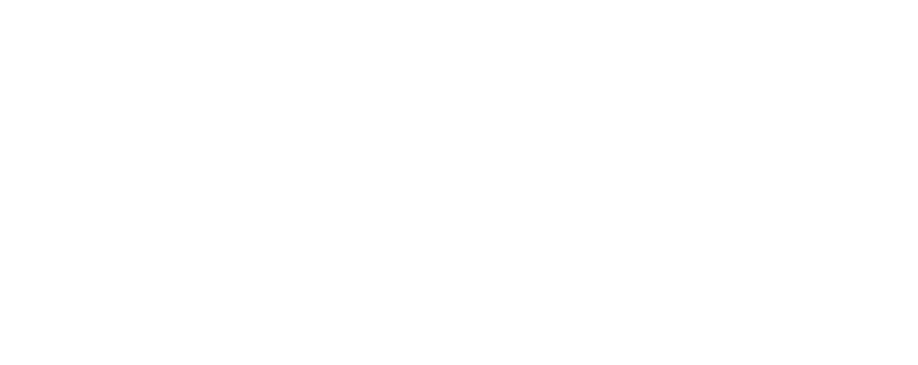 ZEVY